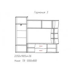 Гостиная ГАРМОНИЯ-3 (ЦРК.ГРМ.03) в Менделеевске - mendeleevsk.mebel24.online | фото 2