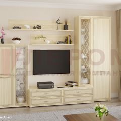 Гостиная Карина Композиция 12 (Ясень Асахи) в Менделеевске - mendeleevsk.mebel24.online | фото