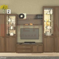 Гостиная Карина Композиция 24 (Акация Молдау) в Менделеевске - mendeleevsk.mebel24.online | фото