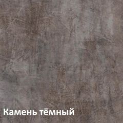 Крафт Полка навесная 15.64 в Менделеевске - mendeleevsk.mebel24.online | фото 4