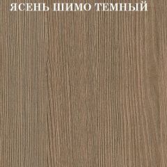 Кровать 2-х ярусная с диваном Карамель 75 (АРТ) Ясень шимо светлый/темный в Менделеевске - mendeleevsk.mebel24.online | фото 5