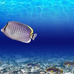 Кухонный фартук Фауна 026 МДФ матовый (3000) Fauna в Менделеевске - mendeleevsk.mebel24.online | фото