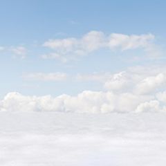 Кухонный фартук Фауна 060 МДФ матовый (3000) Fauna в Менделеевске - mendeleevsk.mebel24.online | фото