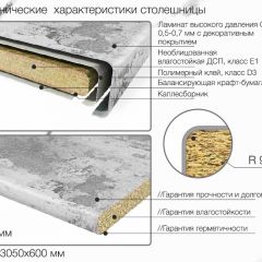 Кухонный фартук со столешницей (А-04) в едином стиле (3050 мм) в Менделеевске - mendeleevsk.mebel24.online | фото 6