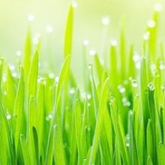 Кухонный фартук Цветы 290 МДФ матовый (3000) Flowers в Менделеевске - mendeleevsk.mebel24.online | фото