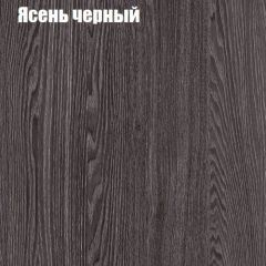 Прихожая ДИАНА-4 сек №11 (Ясень анкор/Дуб эльза) в Менделеевске - mendeleevsk.mebel24.online | фото 3