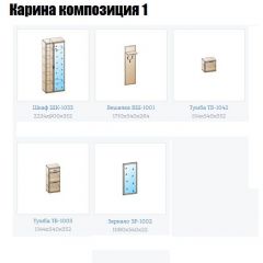 Прихожая Карина (модульная) в Менделеевске - mendeleevsk.mebel24.online | фото 4