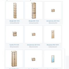 Прихожая Карина (модульная) в Менделеевске - mendeleevsk.mebel24.online | фото 14