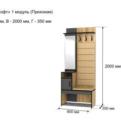 ОЛЬГА-ЛОФТ 1 Прихожая в Менделеевске - mendeleevsk.mebel24.online | фото 4