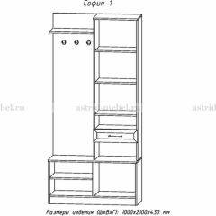 Прихожая София 1 в Менделеевске - mendeleevsk.mebel24.online | фото 3