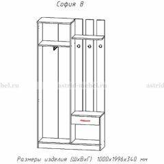 Прихожая София 8 в Менделеевске - mendeleevsk.mebel24.online | фото 2