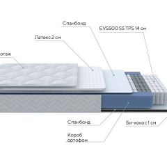 PROxSON Матрас Active Duo S/F (Ткань Трикотаж Эко) 120x195 в Менделеевске - mendeleevsk.mebel24.online | фото 7