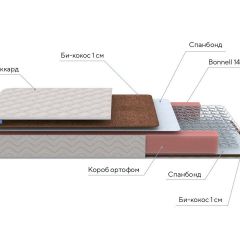 PROxSON Матрас Base Bonnell F Roll (Ткань Жаккард) 120x200 в Менделеевске - mendeleevsk.mebel24.online | фото 6