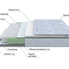 PROxSON Матрас Green S (Tricotage Dream) 180x195 в Менделеевске - mendeleevsk.mebel24.online | фото 6