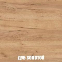 Шкаф 2-х створчатый МСП-1 (Дуб Золотой/Камень темный) в Менделеевске - mendeleevsk.mebel24.online | фото 4