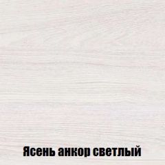 Шкаф 2-х створчатый МСП-1 (Ясень Анкор светлый) в Менделеевске - mendeleevsk.mebel24.online | фото 4