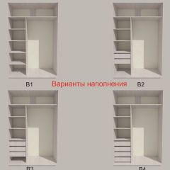 Шкаф-купе 1300 серии SILVER S1+S1+B2+PL2 (2 ящика+1 штанга+1 полка) профиль «Серебро» в Менделеевске - mendeleevsk.mebel24.online | фото 5