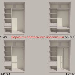 Шкаф-купе 1300 серии SILVER S1+S1+B2+PL2 (2 ящика+1 штанга+1 полка) профиль «Серебро» в Менделеевске - mendeleevsk.mebel24.online | фото 6