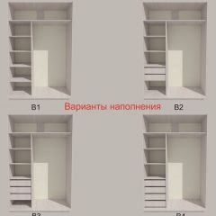 Шкаф-купе 1300 серии SILVER S3+S4+B2+PL4 (2 ящика+F обр.штанга) профиль «Серебро» в Менделеевске - mendeleevsk.mebel24.online | фото 5
