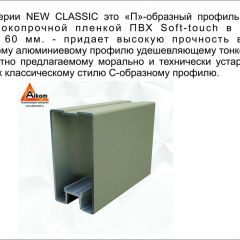 Шкаф-купе 1500 серии NEW CLASSIC K4+K4+B2+PL4 (2 ящика+F обр. штанга) профиль «Капучино» в Менделеевске - mendeleevsk.mebel24.online | фото 18