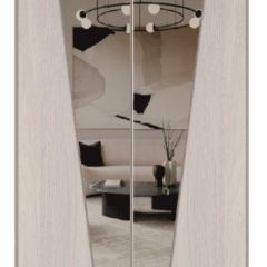 Шкаф-купе 1500 серии SILVER S1+S1+B2+PL2 (2 ящика+1 штанга+1 полка) профиль «Серебро» в Менделеевске - mendeleevsk.mebel24.online | фото 12