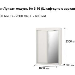 Шкаф-купе 1600 с зеркалом "Мария-Луиза 6.16" в Менделеевске - mendeleevsk.mebel24.online | фото 4