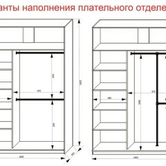 Шкаф-купе 1600 серии SOFT D6+D4+B2+PL2 (2 ящика+1штанга+1 полка) профиль «Капучино» в Менделеевске - mendeleevsk.mebel24.online | фото 9