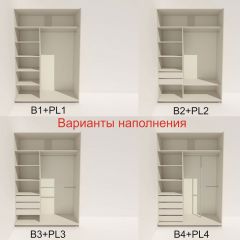 Шкаф-купе 1600 серии SOFT D6+D6+B2+PL3 (2 ящика+2штанги) профиль «Капучино» в Менделеевске - mendeleevsk.mebel24.online | фото 6