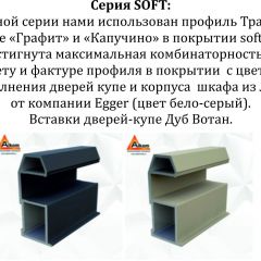 Шкаф-купе 1600 серии SOFT D6+D6+B2+PL3 (2 ящика+2штанги) профиль «Капучино» в Менделеевске - mendeleevsk.mebel24.online | фото 12