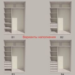Шкаф-купе 1700 серии SILVER S4+S3Z+B2+PL1 (2 ящика+1 штанга) профиль «Серебро» в Менделеевске - mendeleevsk.mebel24.online | фото 5