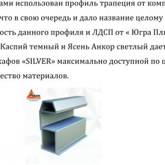 Шкаф-купе 2250 серии SILVER S4+S1+S4 B22+PL4 (по 2 ящика лев/прав+F обр.штанга) профиль «Серебро» в Менделеевске - mendeleevsk.mebel24.online | фото 4