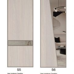 Шкаф-купе 2250 серии SILVER S7+S1+S7Z B22+PL1 (по 2 ящика лев/прав+1штанга) профиль «Серебро» в Менделеевске - mendeleevsk.mebel24.online | фото 14
