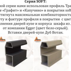 Шкаф-купе 2400 серии SOFT D2+D7+D3+B22+PL2 (по 2 ящика лев/прав+1штанга+1полка) профиль «Графит» в Менделеевске - mendeleevsk.mebel24.online | фото 12