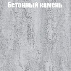 Шкаф-купе Бассо 1.0 (Дуб Крафт серый/Бетонный камень) 2 двери ЛДСП в Менделеевске - mendeleevsk.mebel24.online | фото 3