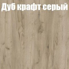 Шкаф-купе Бассо 1.0 (Дуб Крафт серый/Бетонный камень) 2 двери ЛДСП в Менделеевске - mendeleevsk.mebel24.online | фото 4