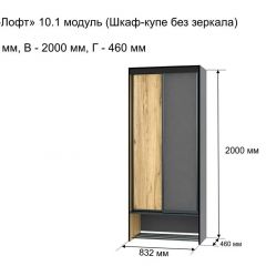 ОЛЬГА-ЛОФТ 10.1 Шкаф-купе без зеркала в Менделеевске - mendeleevsk.mebel24.online | фото 3