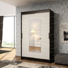 Шкаф - купе Элегант 1 в Менделеевске - mendeleevsk.mebel24.online | фото