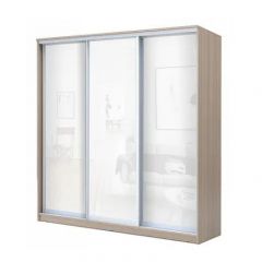 Шкаф-купе ХИТ 22-20-888 (620) в Менделеевске - mendeleevsk.mebel24.online | фото 7