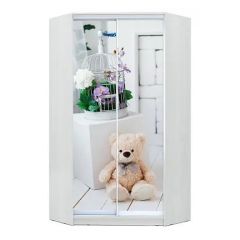 Шкаф-купе ХИТ-У-L-24-64-77 в Менделеевске - mendeleevsk.mebel24.online | фото