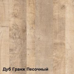 Трувор Шкаф 13.204.01 в Менделеевске - mendeleevsk.mebel24.online | фото 4