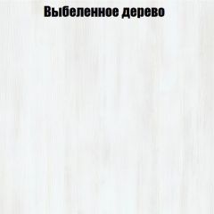 Вешалка V2 в Менделеевске - mendeleevsk.mebel24.online | фото 4