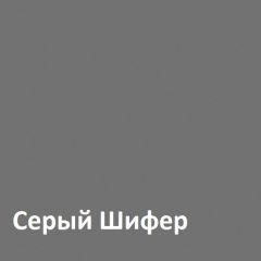 Юнона Шкаф торцевой 13.221 в Менделеевске - mendeleevsk.mebel24.online | фото 2