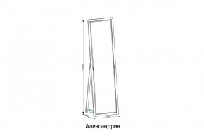 АЛЕКСАНДРИЯ-9.1 Зеркало напольное в Менделеевске - mendeleevsk.mebel24.online | фото 2
