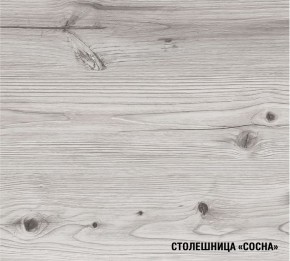 АСАЯ Кухонный гарнитур Экстра 2 (3000 мм) ПМ в Менделеевске - mendeleevsk.mebel24.online | фото 8