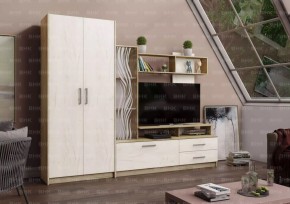 ДАРЬЯ Гостиная (Крафт серый/Крафт белый) в Менделеевске - mendeleevsk.mebel24.online | фото