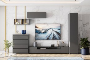 ДЕНВЕР Пенал (Графит серый) в Менделеевске - mendeleevsk.mebel24.online | фото 4