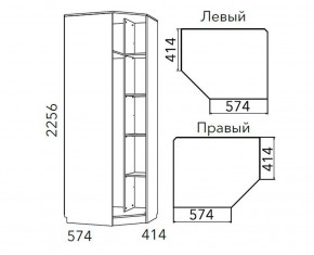 Детская Фанк Шкаф угловой Левый/Правый НМ 013.04-02 М в Менделеевске - mendeleevsk.mebel24.online | фото 3