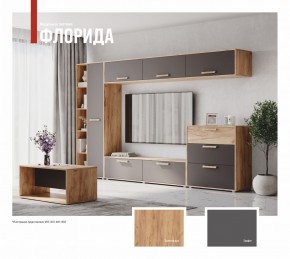 ФЛОРИДА Гостиная (модульная) дуб золотой/графит в Менделеевске - mendeleevsk.mebel24.online | фото 1