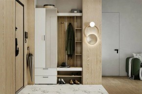 Гарнитур для прихожей Торонто в Менделеевске - mendeleevsk.mebel24.online | фото 5