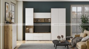 МИЛАН-1 Гостиная (модульная) в Менделеевске - mendeleevsk.mebel24.online | фото 10